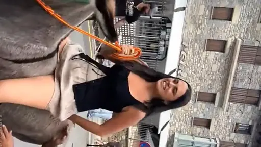 Donkey Ride