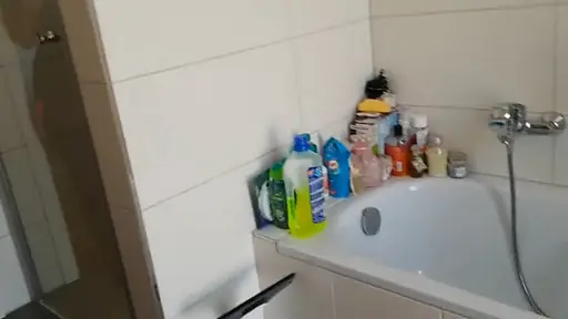 German Siblings in the Bathroom