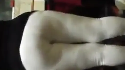 Madre e hijo Latinos. hijo graba a mamá
